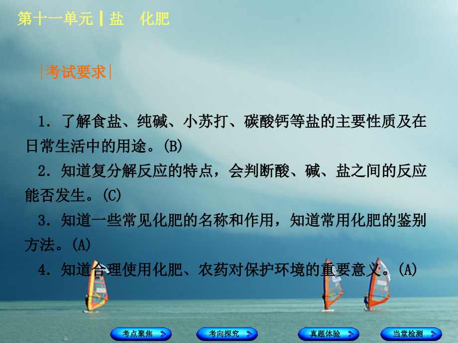 2019届安徽专版中考化学复习第十一单元盐化肥讲义.ppt_第2页