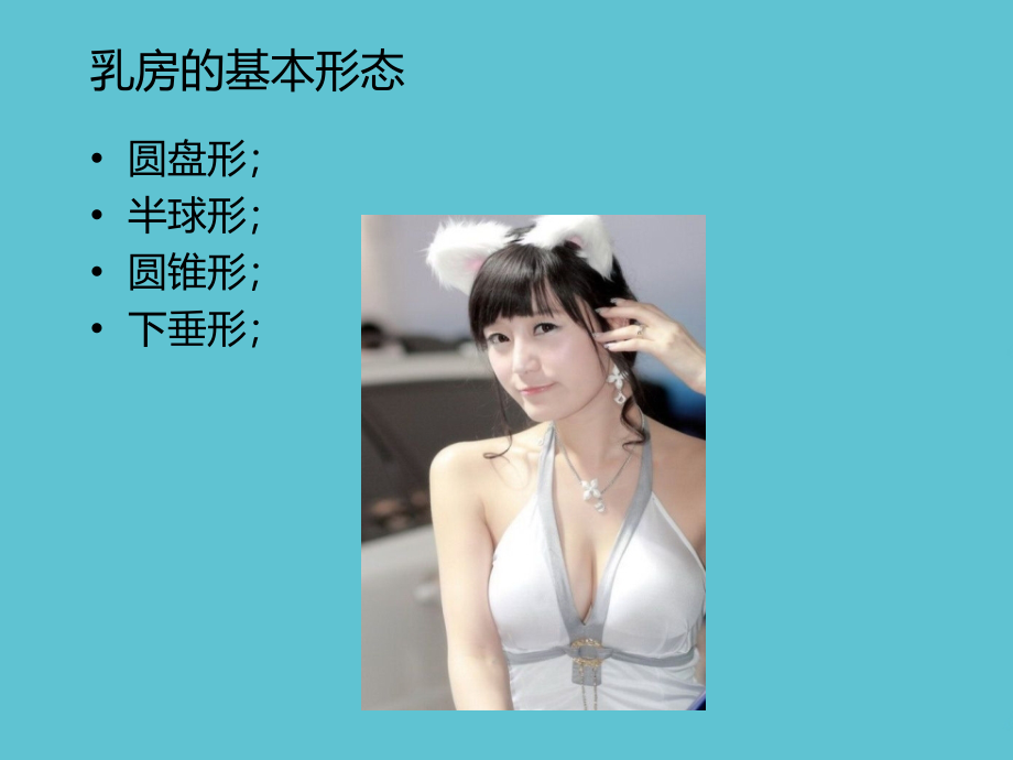 乳房的基本特征和乳房美学参数.ppt_第2页