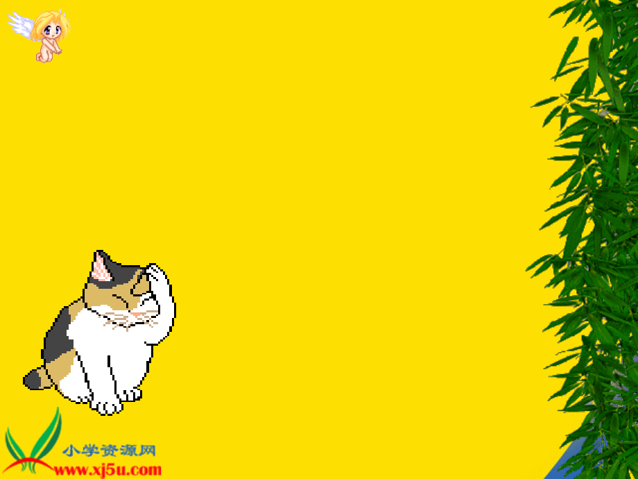 浙教版五年级上册猫.ppt_第1页
