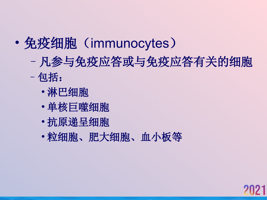 淋巴细胞成熟与抗原受体基因的表达.ppt_第2页