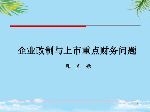 企业IPO财务会计及相关问题.ppt
