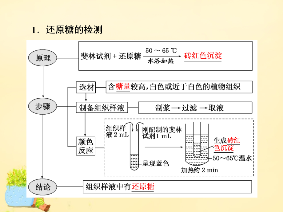 高三生物一轮复习第一单元细胞及其分子组成第三讲检测生物组织中的糖类脂肪和蛋白质实验课课件必修.ppt_第2页