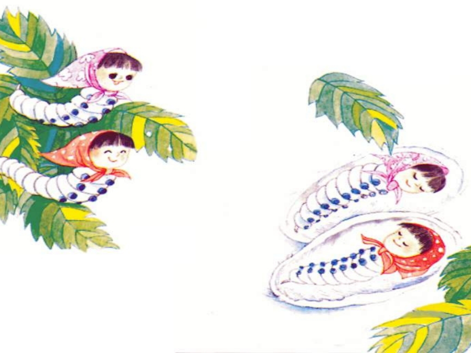浙教版二年级下册蚕姑娘.ppt_第2页