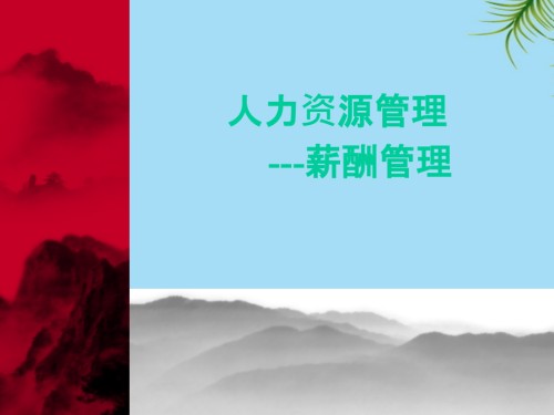 人力资源管理薪酬(PPT页).ppt