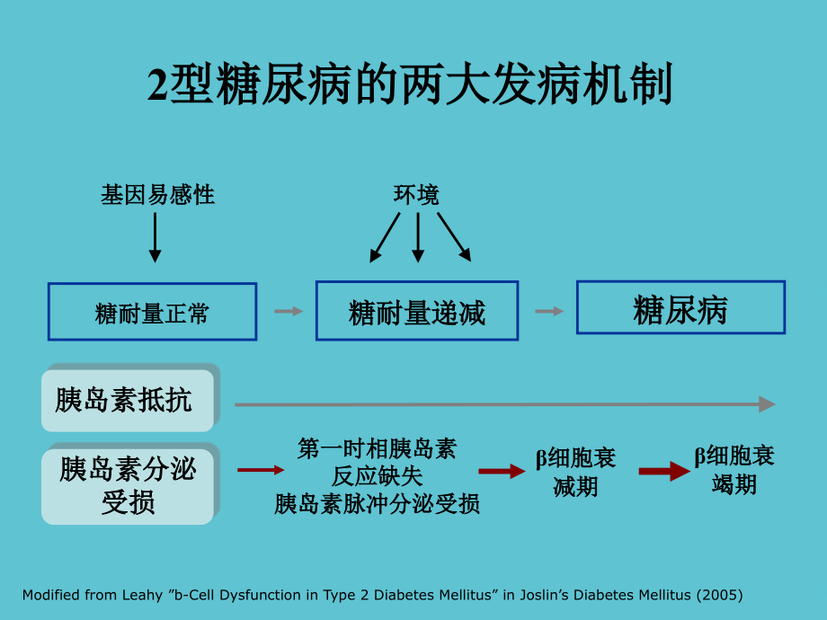针对不同人种型糖尿病的干预策略.ppt_第2页