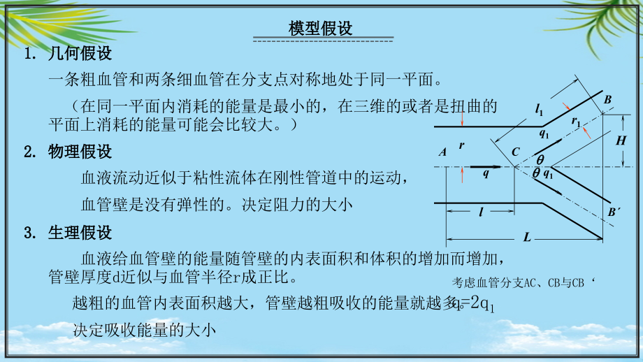 血管分支模型.ppt_第2页