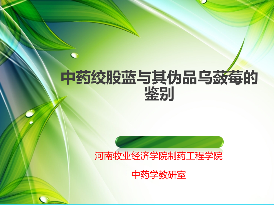 微课--中药绞股蓝与其伪品乌蔹莓的鉴别.ppt_第1页