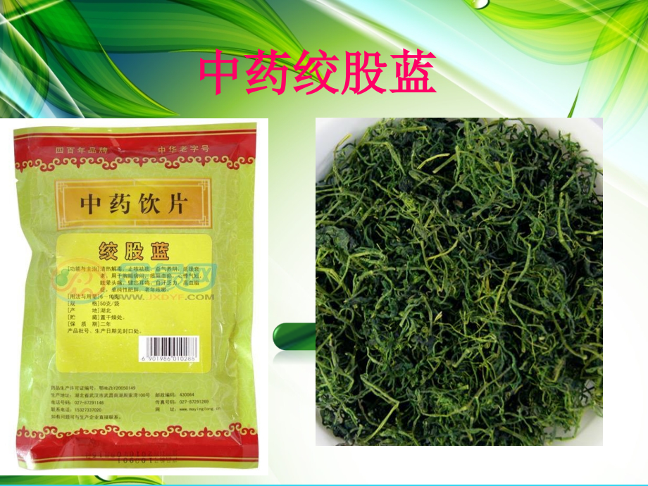 微课--中药绞股蓝与其伪品乌蔹莓的鉴别.ppt_第2页