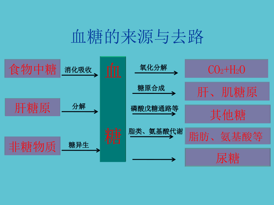 高血糖要严格控制.ppt_第2页