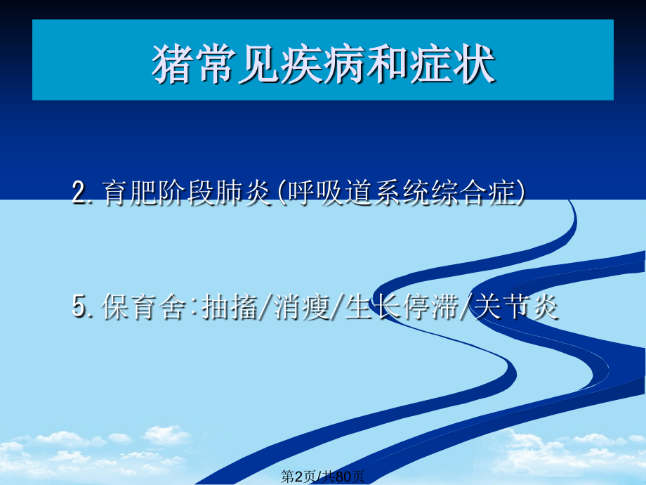 保健养猪.pptx_第2页