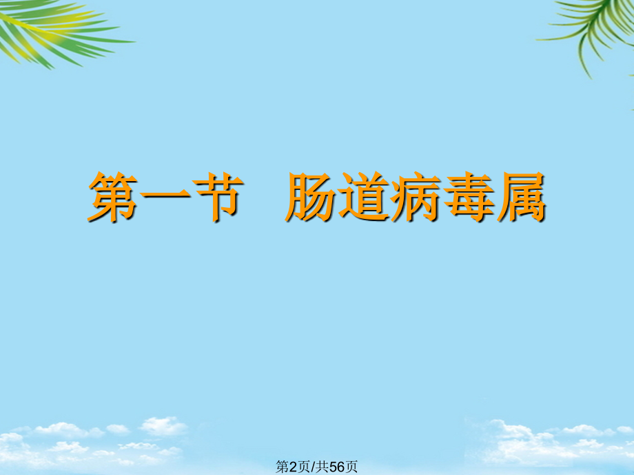 肠道病毒.pptx_第2页