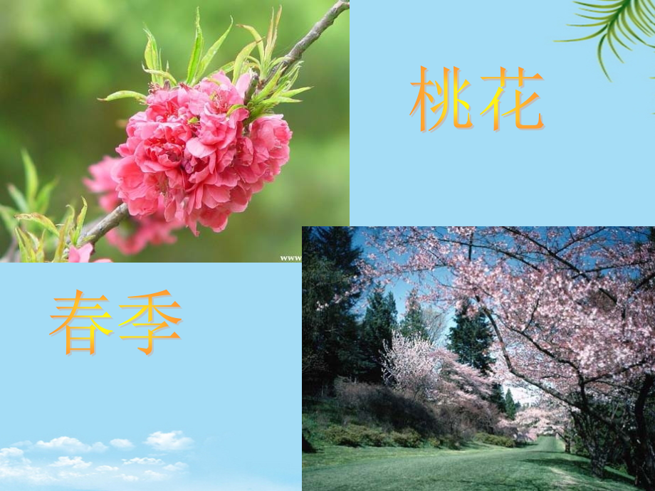 浙江省平阳县昆阳镇第二中学八年级语文上册《大自然的语言》课件.ppt_第2页