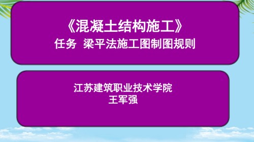 任务梁平法施工图制图规则.ppt