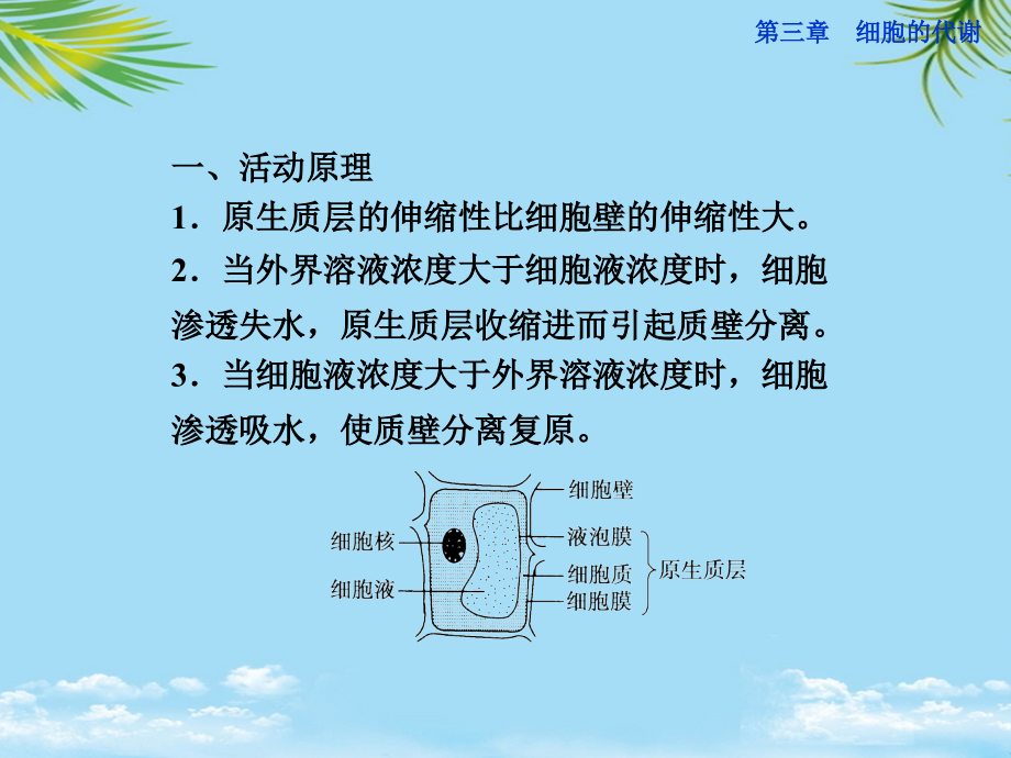 课件观察洋葱表皮细胞的质壁分离及质壁分离复原.ppt_第2页