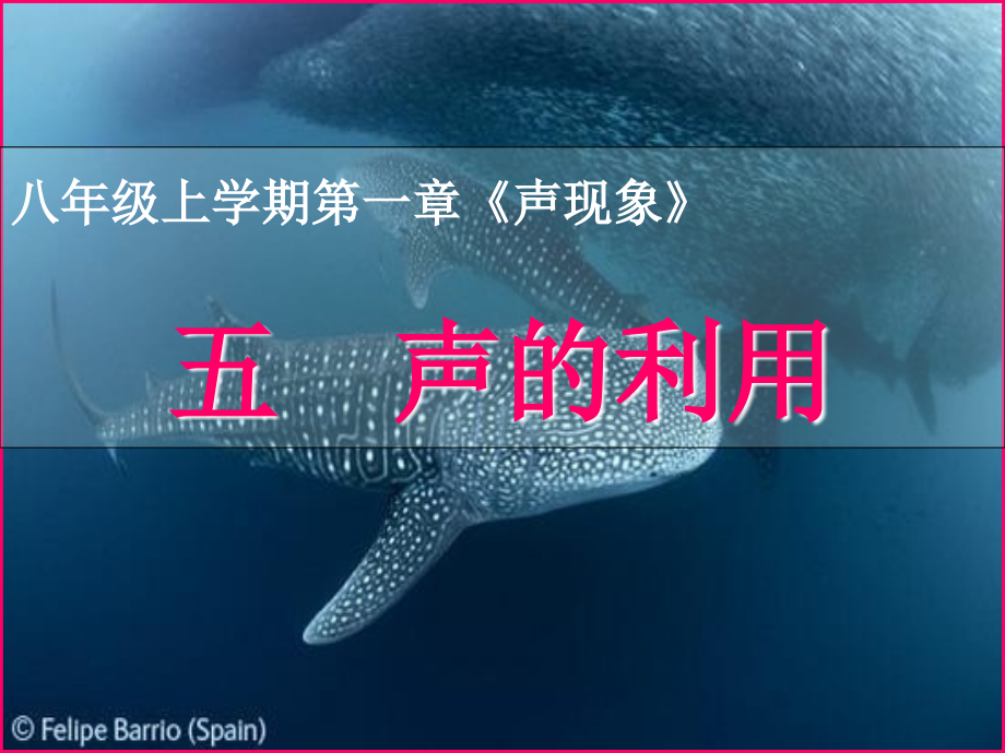 人教版八年级上册物理第一章第节声的利用课件图文.ppt_第1页