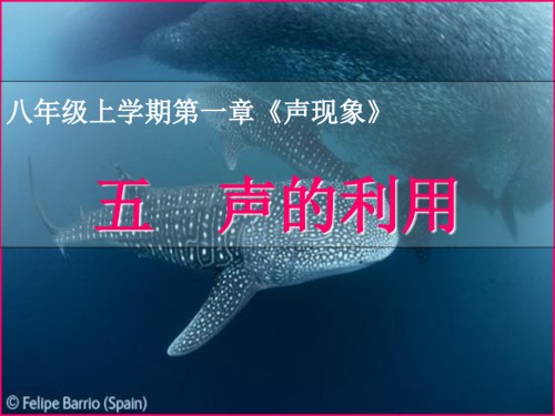 人教版八年级上册物理第一章第节声的利用课件图文.ppt