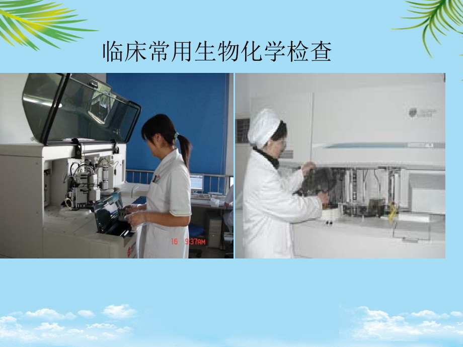 血生化检查.ppt_第2页