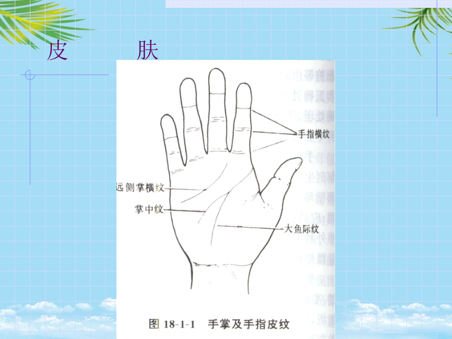 颈腰痛诊疗中心.ppt_第2页