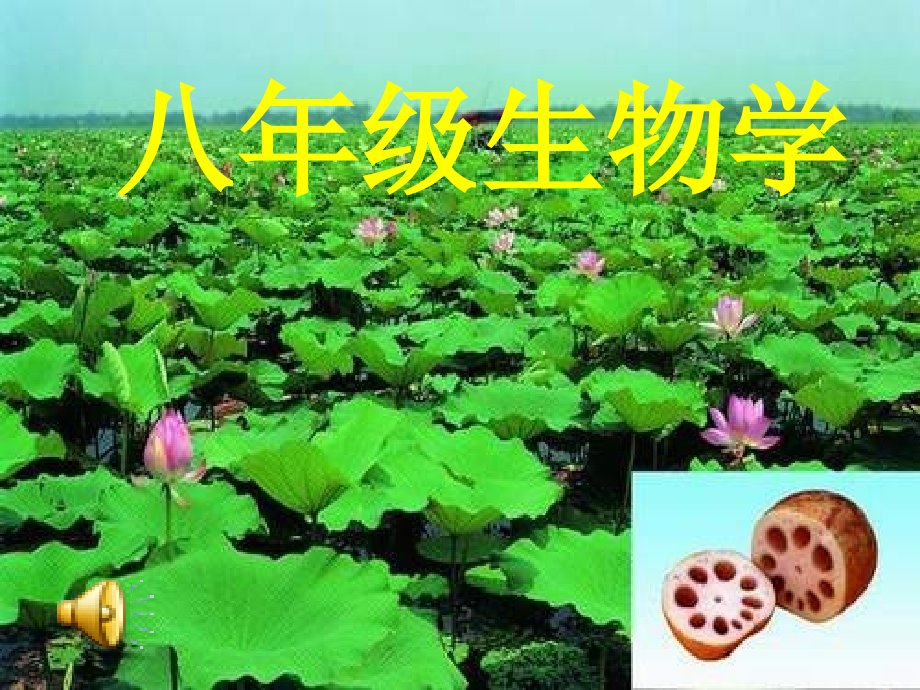 生物八年级河北少儿版植物的呼吸作用.ppt_第1页
