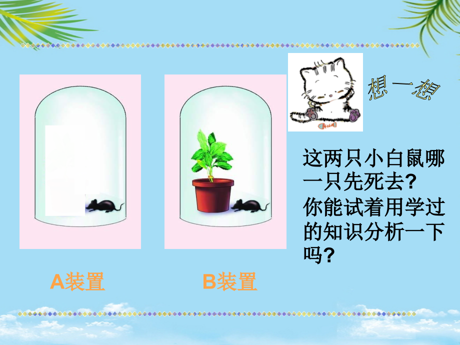 生物八年级河北少儿版植物的呼吸作用.ppt_第2页