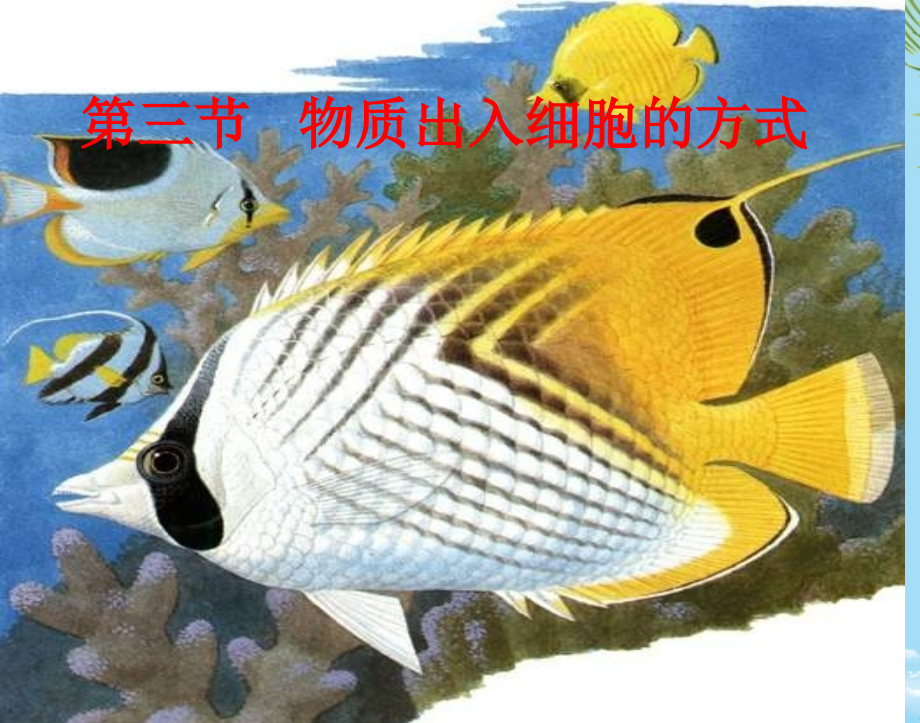 生物必修人教新课标物质出入细胞的方式课件.ppt_第1页