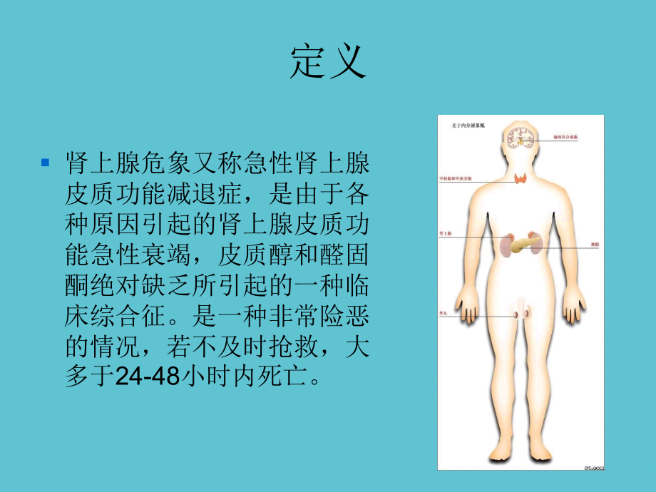 肾上腺素危象急救与护理.ppt_第2页