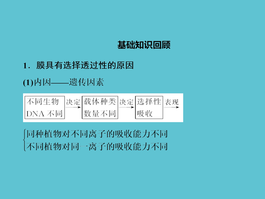 高考生物总复习十三细胞的结构功能和物质运输.ppt_第2页
