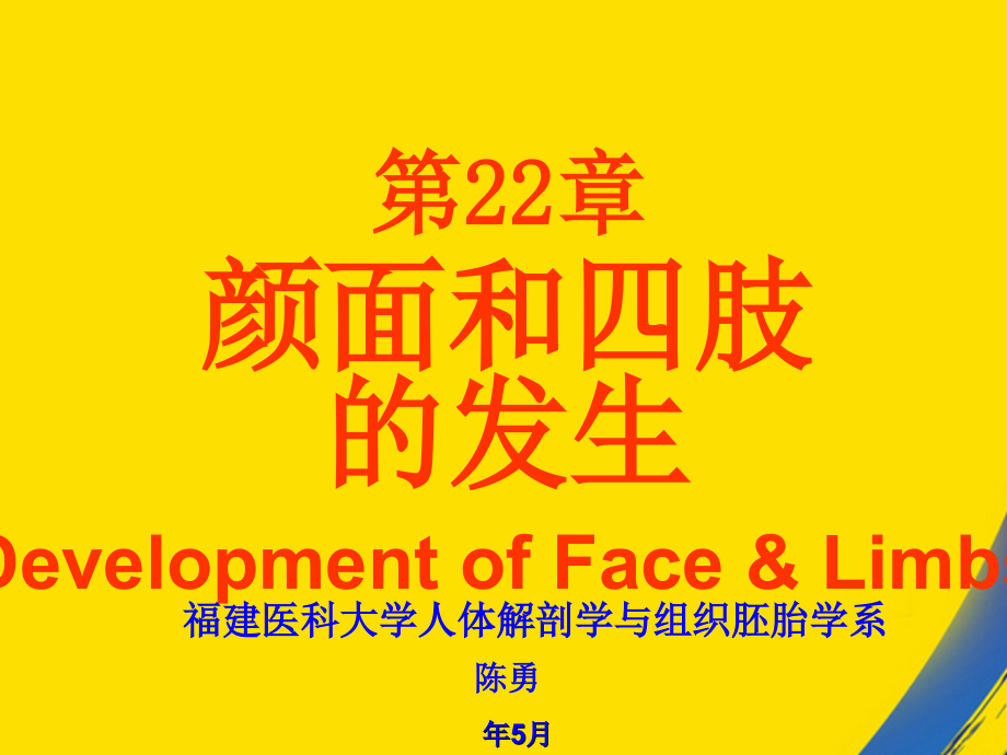 组织学与胚胎学第章颜面和四肢的发生.ppt_第1页