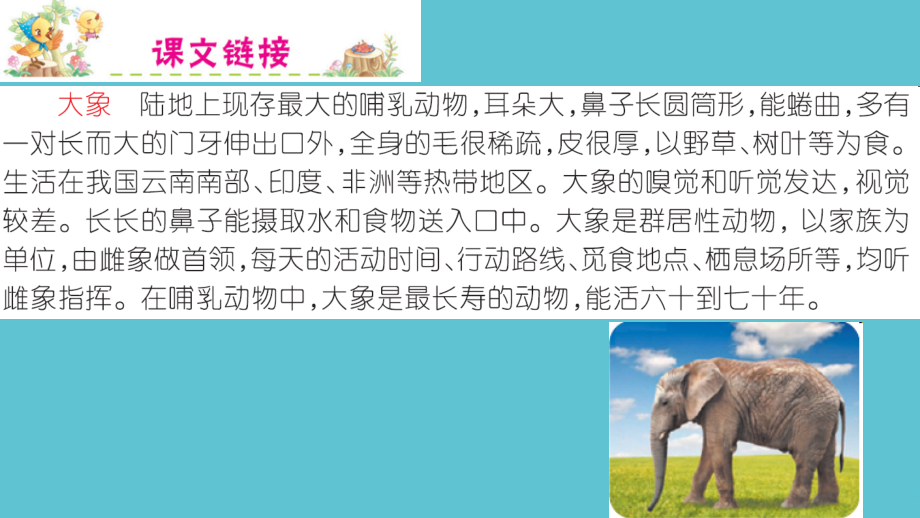 二年级下册语文大象的耳朵人教部编.ppt_第2页