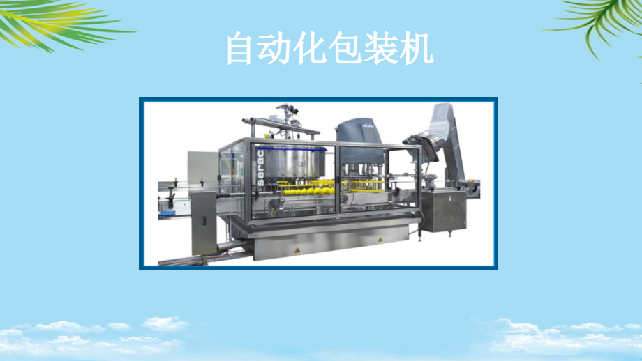 商品归类案例自动化包装机.ppt_第2页