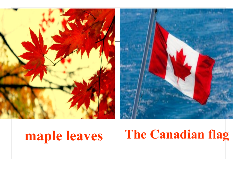unit5-Canada--the-true-north公开课[精编文档].ppt_第2页