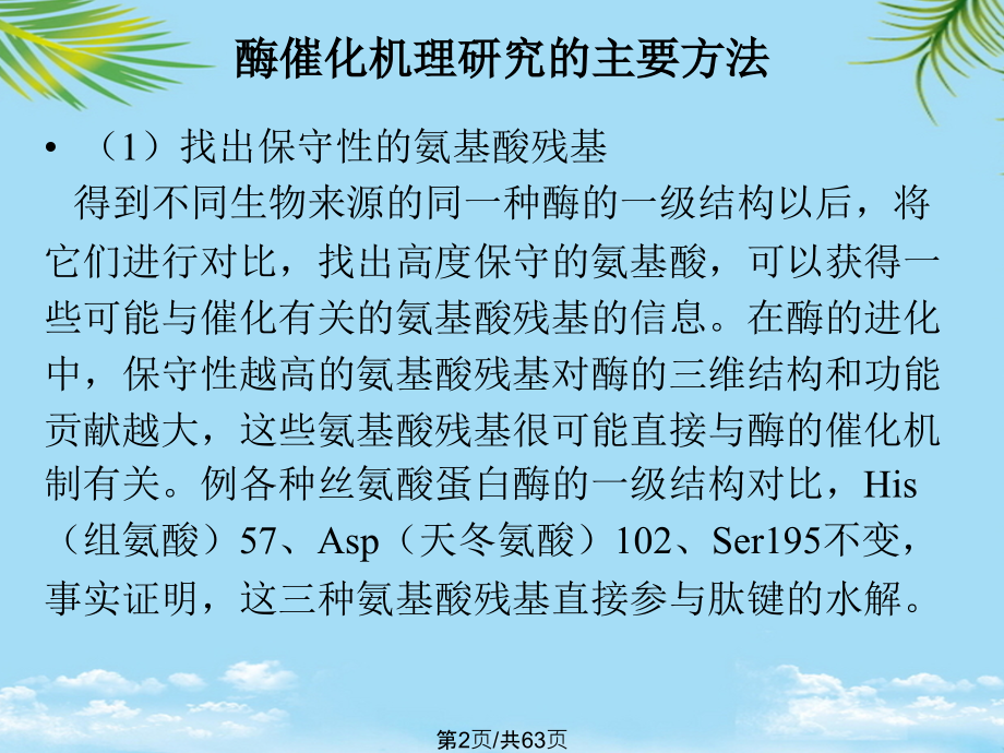 生物化学酶的催化机制.pptx_第2页