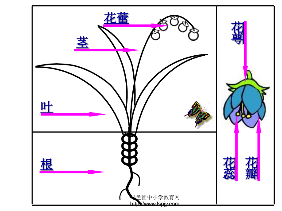 课件-小学美术《茂密的花PPT课件》优秀教学.ppt_第2页