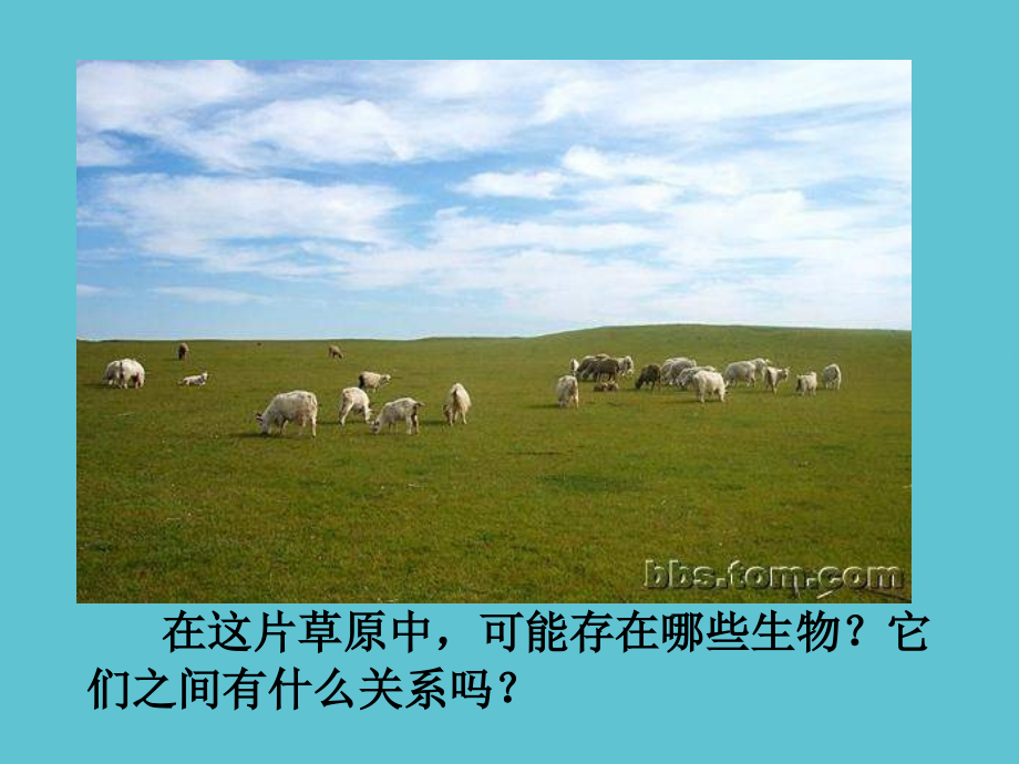 极致完美的cf名字大全你不懂我的选择.ppt_第2页