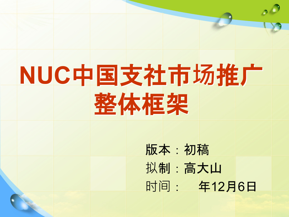 某品牌中国市场营销推广策划案.pptx_第1页