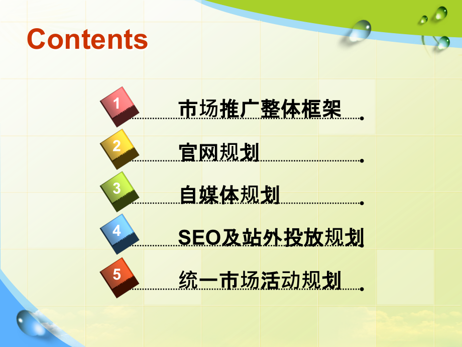 某品牌中国市场营销推广策划案.pptx_第2页