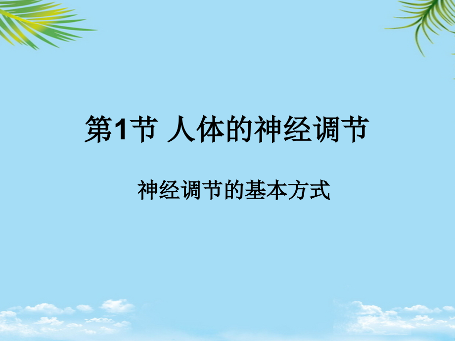 人神经调节第课时.ppt_第1页