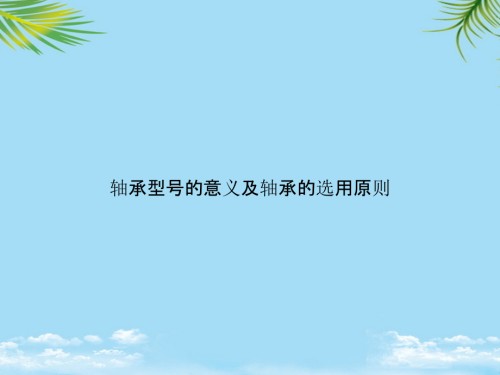 轴承型号的意义及轴承的选用原则.pptx