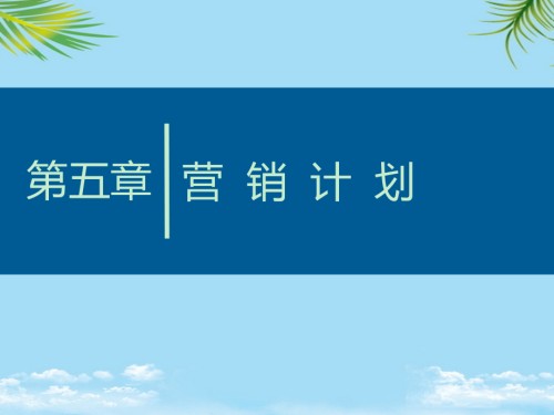 商业计划书-营销计划.ppt
