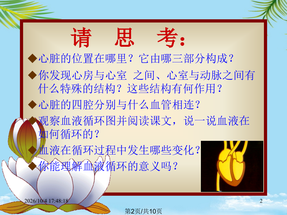 输送血液的泵.pptx_第2页