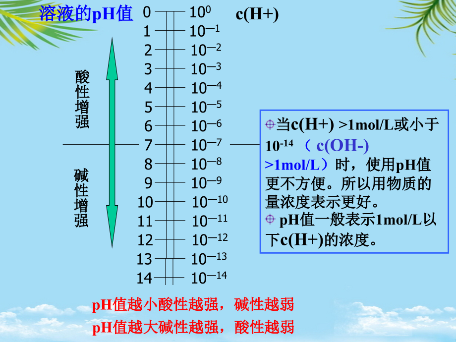 水的电离和溶液的酸碱性第4课时.ppt_第2页