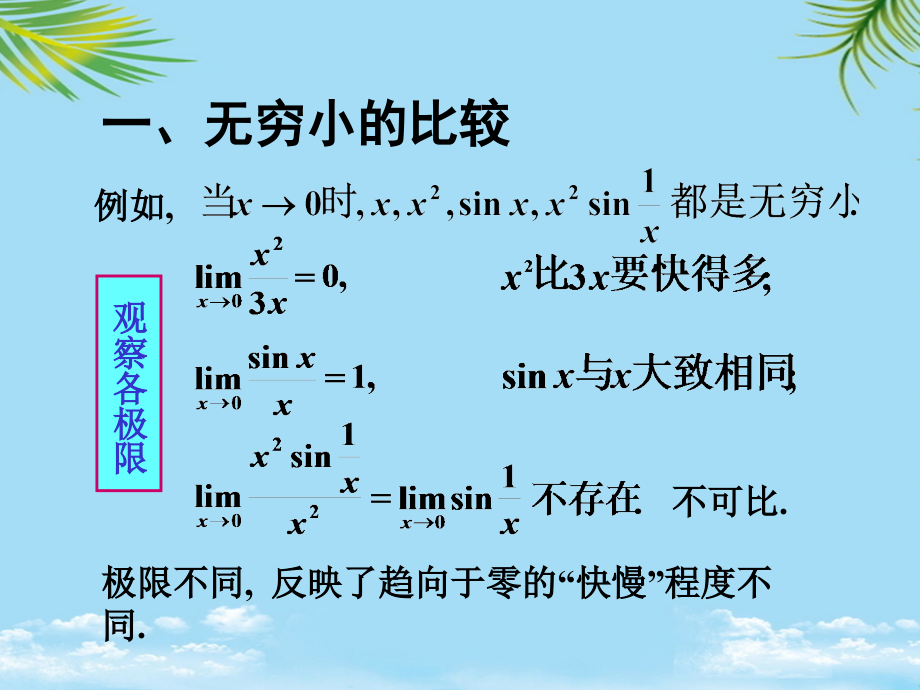 同济大学《高等数学》(第四版)节无穷小的比较.ppt_第1页