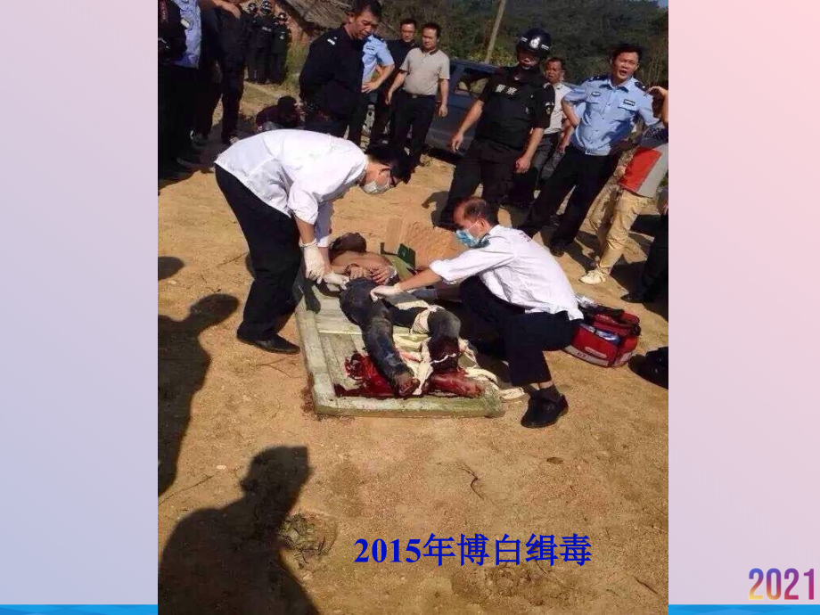 现场危重病人抢救配合交流.ppt_第2页