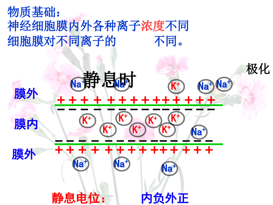 [高中教育]22体液调节.ppt_第2页