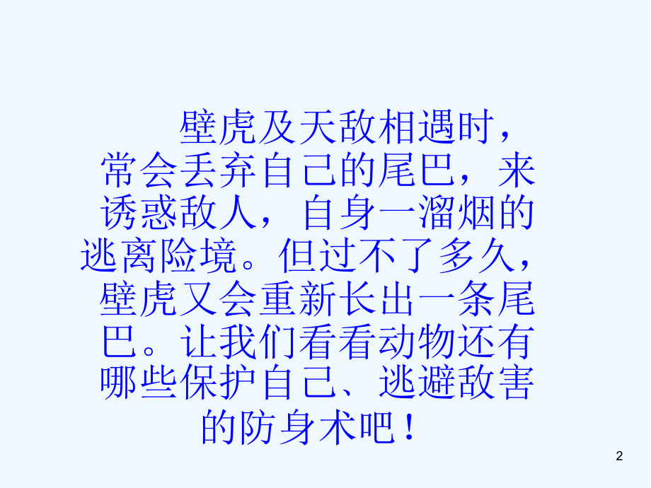 小学科学奇妙的护身术.ppt_第2页