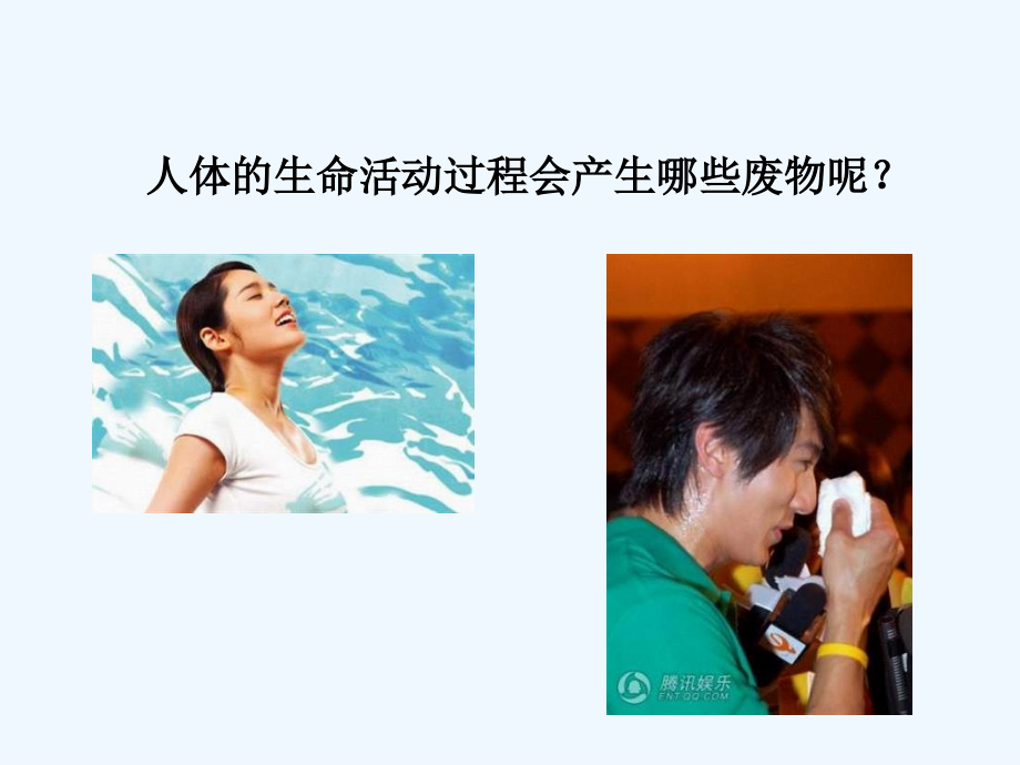 八年级生物泌尿系统组成浅谈.ppt_第2页