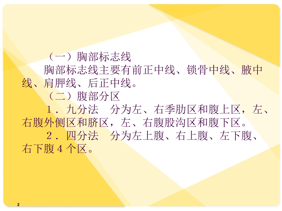 解剖学课件消化系统.ppt_第2页