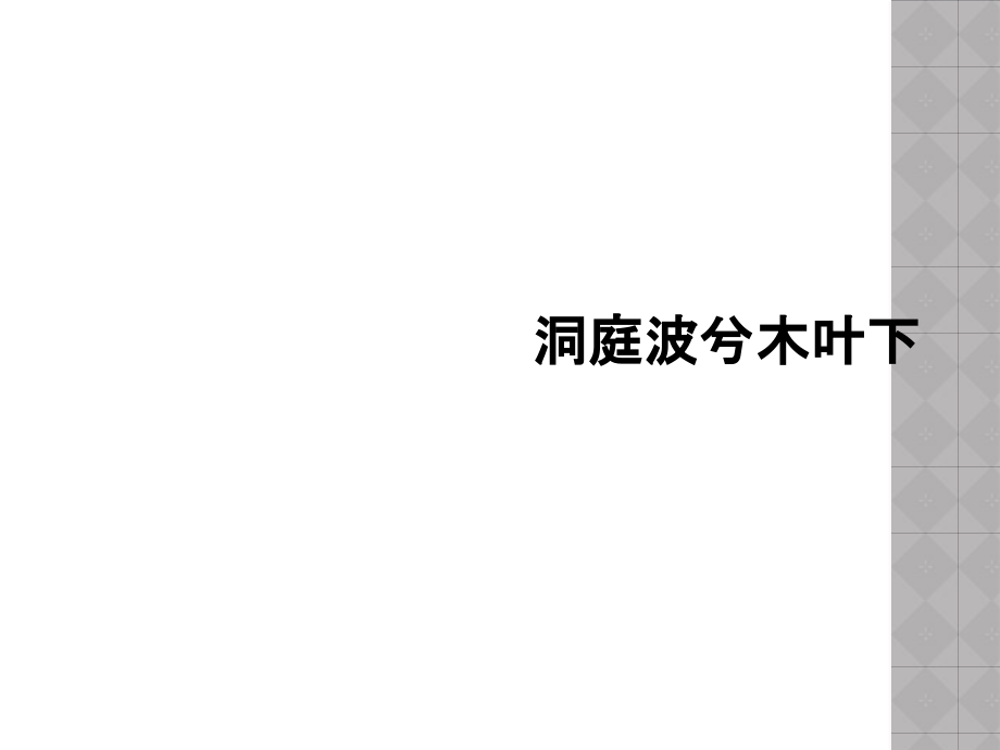 洞庭波兮木叶下.ppt_第1页