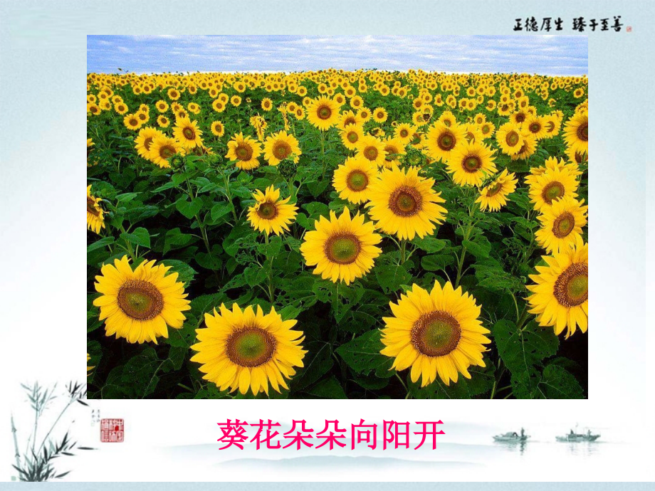 第三章第一节植物生长素的发现市级获奖课件.ppt_第2页
