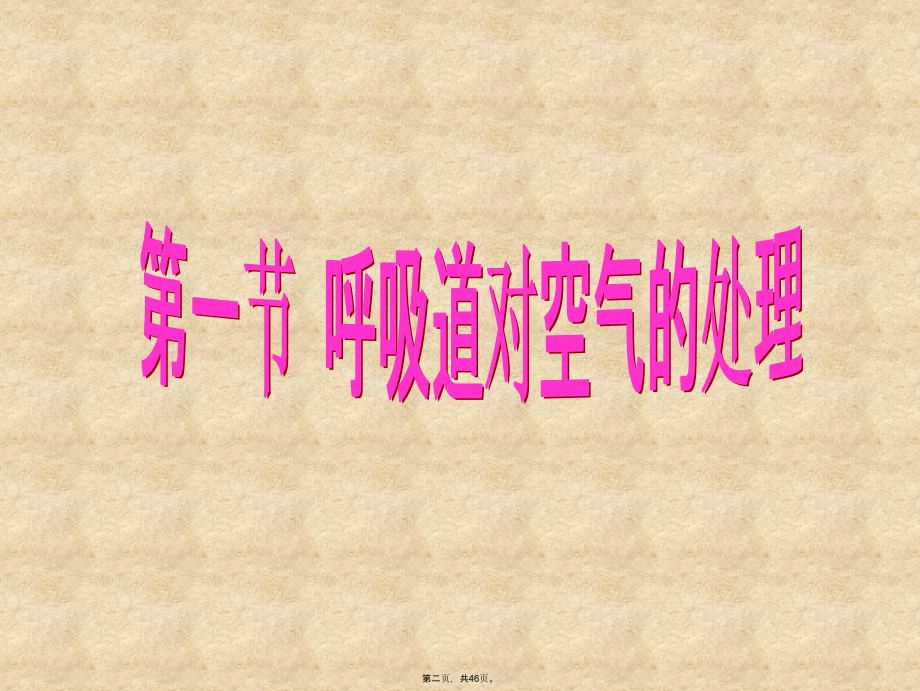第三章第一节呼吸道对空气的处理.ppt_第2页